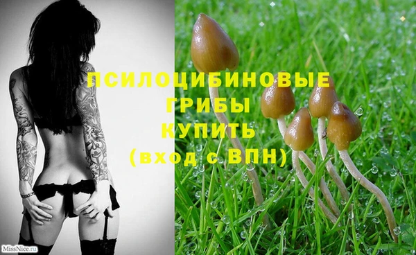 spice Алзамай