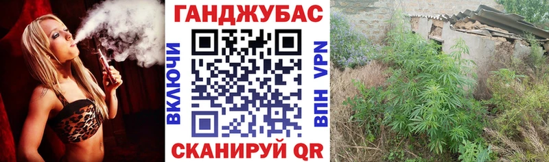 Бошки марихуана сатива  Орёл 
